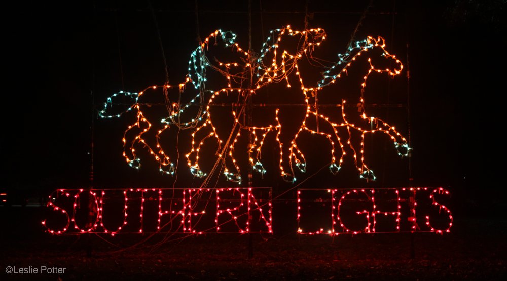Southern Lights at the Kentucky Horse Park