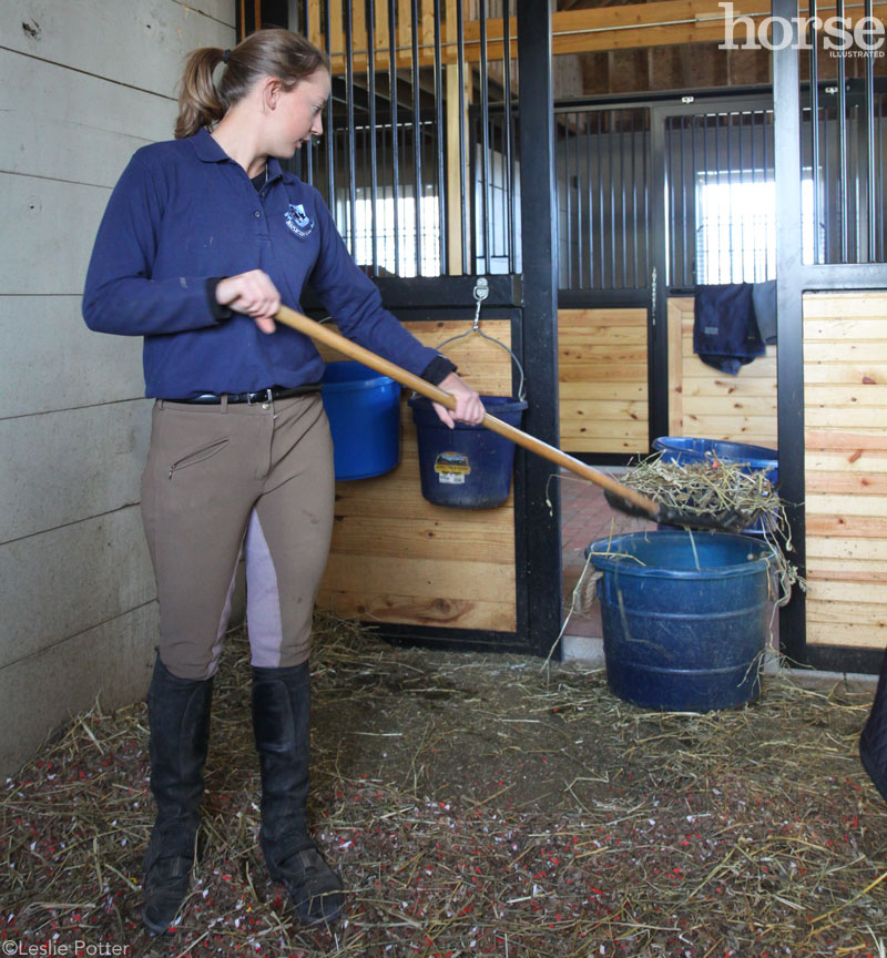 Cleaning Stalls