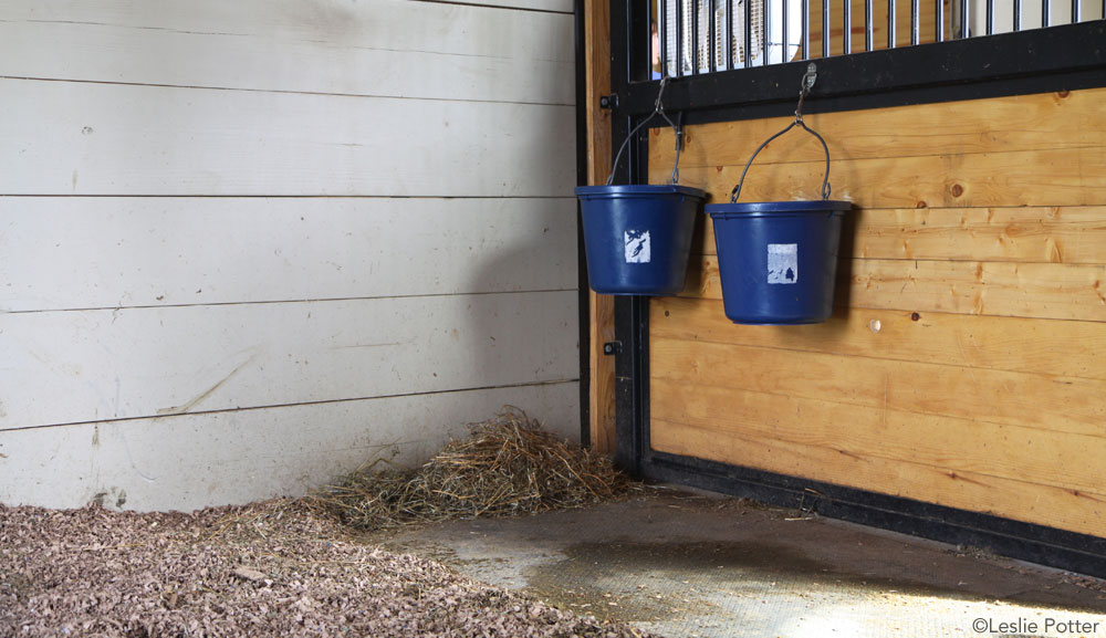 Horse Stall Interior