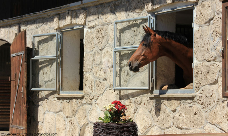 Horse Barn