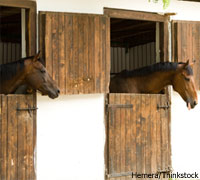 Stalled horses