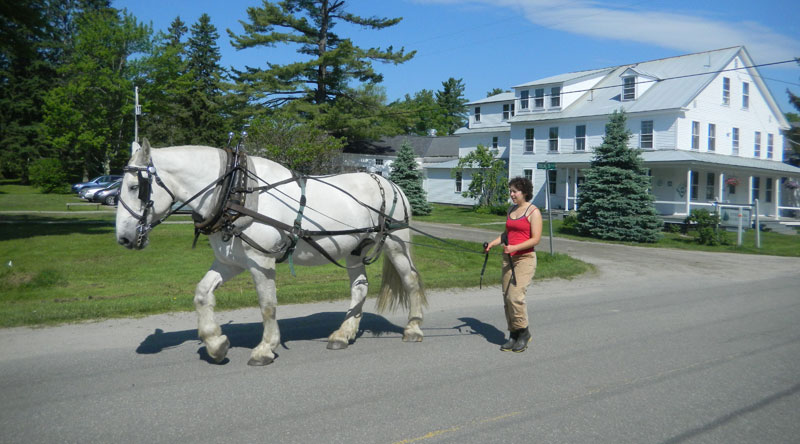 Draft Horse Farming