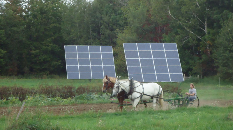 Draft Horse Farming