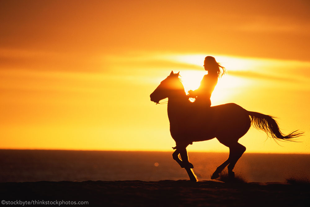 Stock Photo Rider