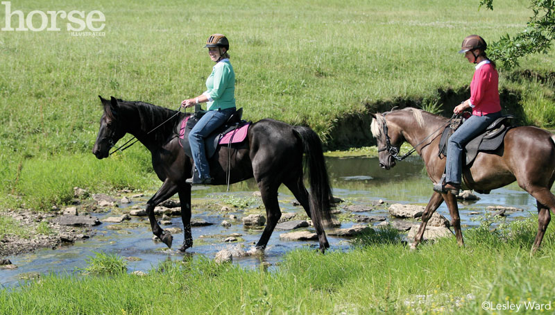 Trail Riding