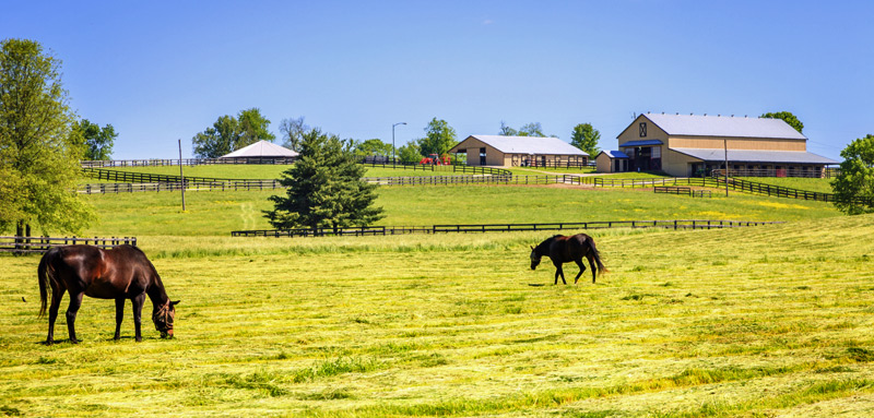 Barn