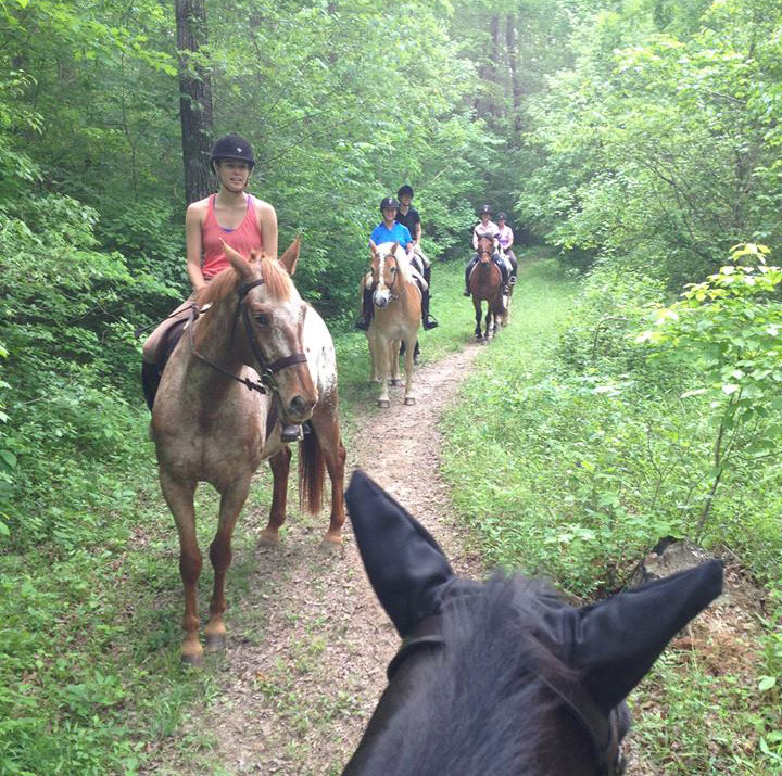 Horse Trails
