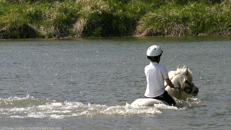 Swimming Pony Swimming Pony