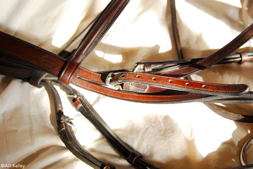 9 Leather Cleaning Tips Every Horseman Should Know