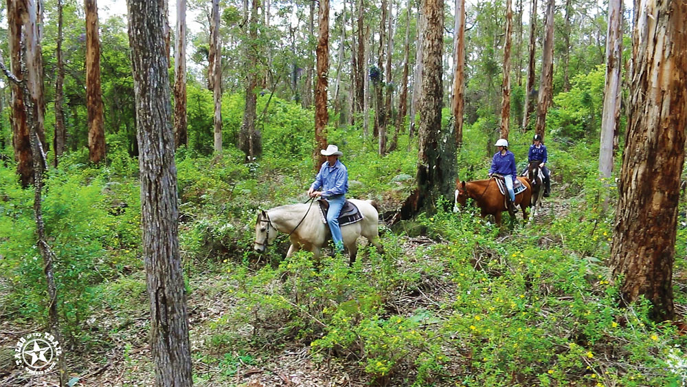Trail Riding in Australia
