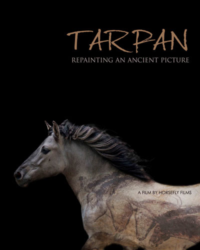 Tarpan