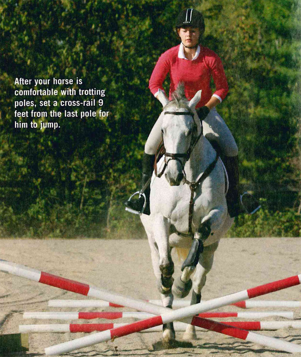 Teach Your Horse to Jump