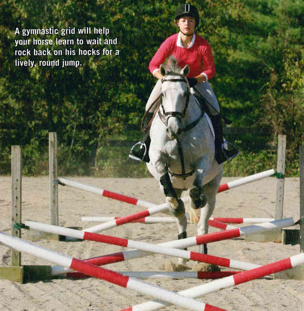 Teach Your Horse to Jump