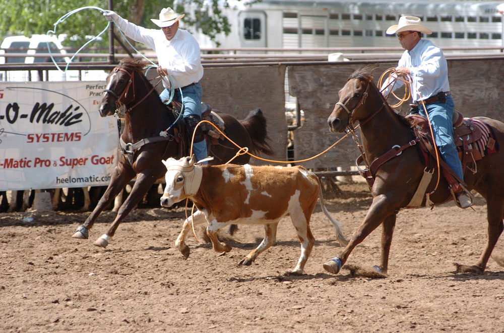 Team Roping