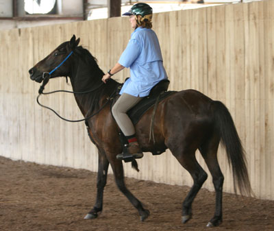 Tense horse