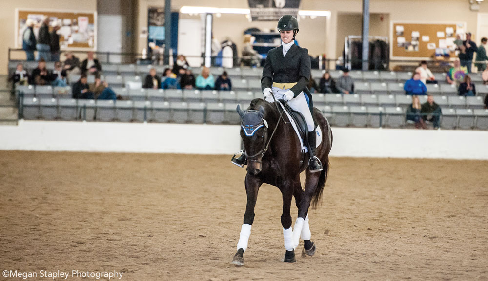 Thoroughbred Makeover