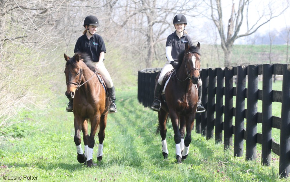 Trail Riding Thoroughbreds