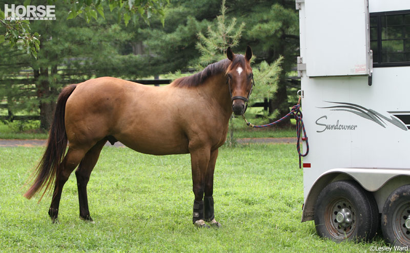 Trailer Trailer