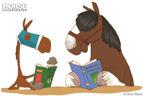 Too Heavy Different types of horses