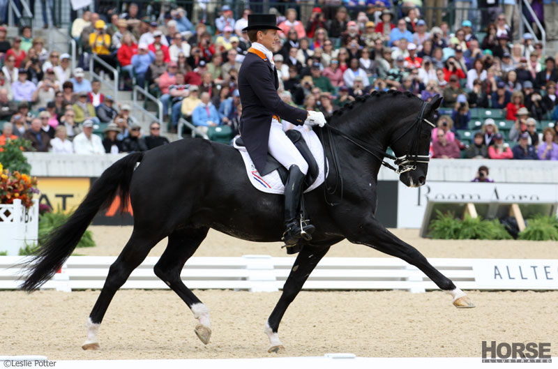 Moorlands Totilas at the 2010 Alltech FEI World Equestrian Games