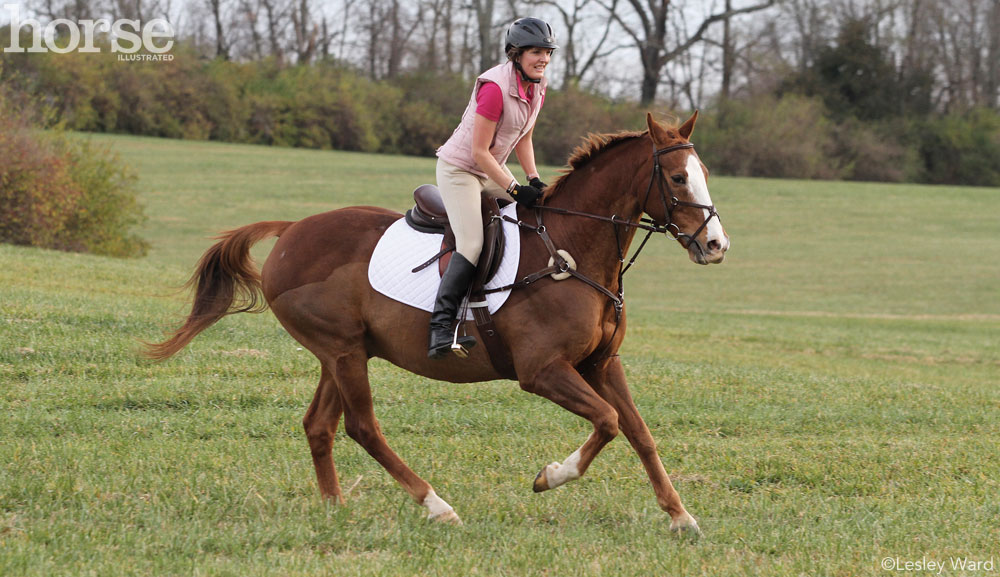 horse grooming challenges