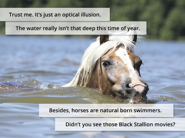 Trust me. It’s just an optical illusion. The water really isn’t that deep this time of year. Besides, horses are natural born swimmers. Didn’t you see those Black Stallion movies?