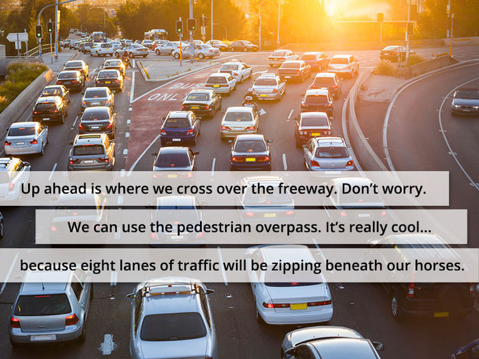 Up ahead is where we cross over the freeway. Don’t worry. We can use the pedestrian overpass. It’s really cool because eight lanes of traffic will be zipping beneath our horses.