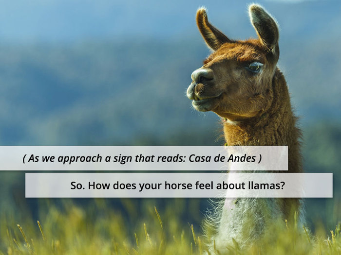 (As we approach a sign that reads: Casa de Andes) So. How does your horse feel about llamas?