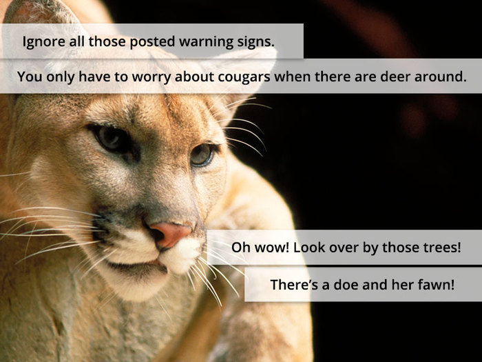 Ignore all those posted warning signs. You only have to worry about cougars when there are deer around. Oh wow! Look over by those trees! There’s a doe and her fawn!