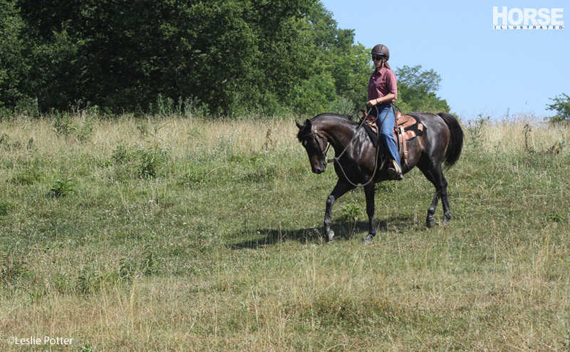 Trail Ride Trail Ride