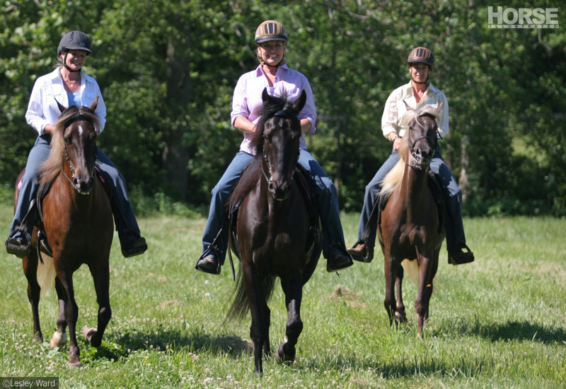 Trail riding