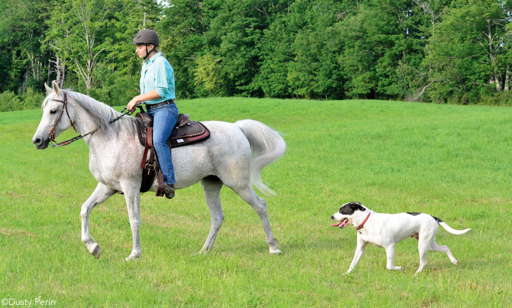 Trail Ride with Dog