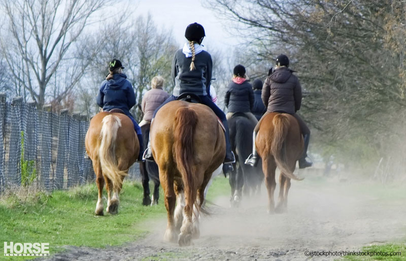 Trail Riding