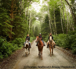 Family trail ride