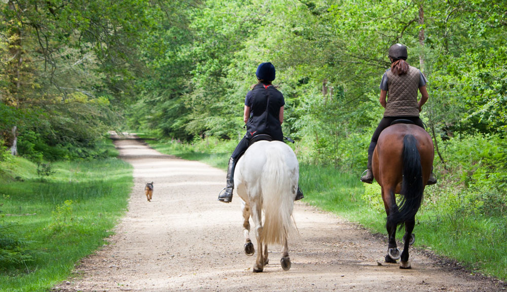 Trail Riding