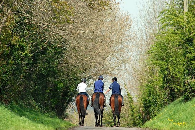 Trail Riding