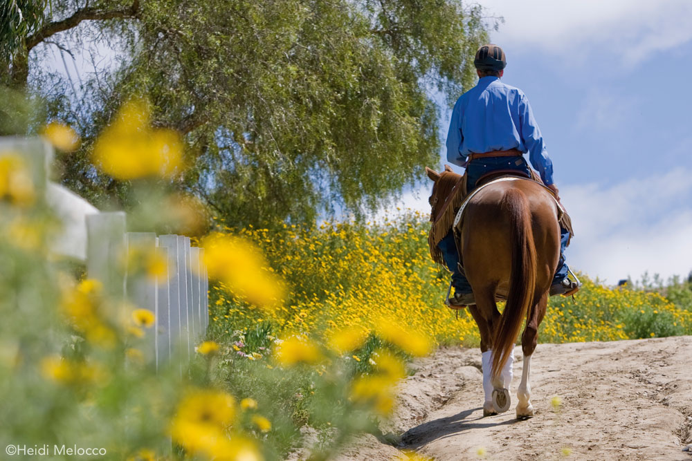 Trail Riding