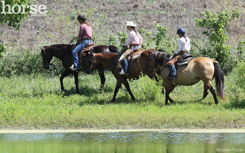 Group Trail