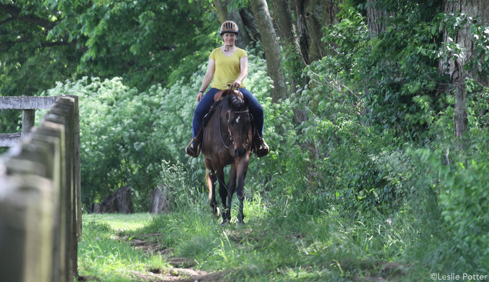 Trail Riding