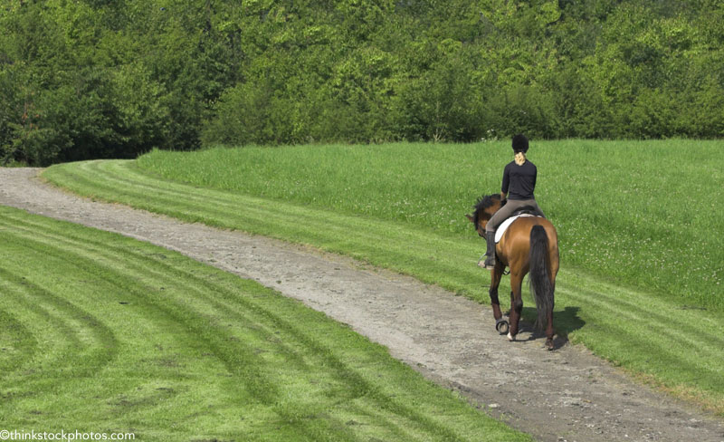 Trail Riding