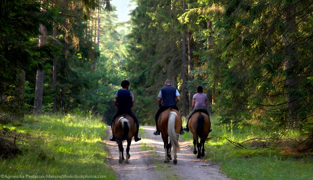 Trail Ride