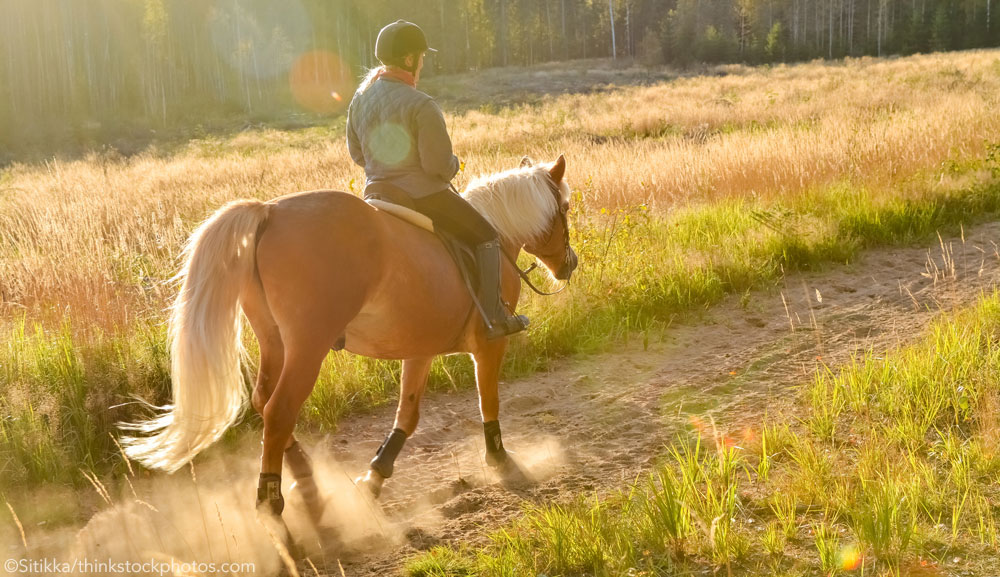 Trail Riding on a Dirt Road