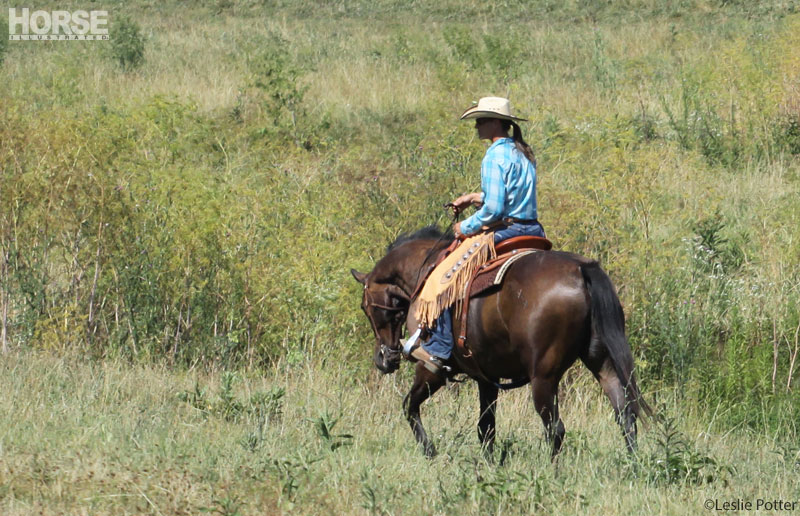 Trail Riding