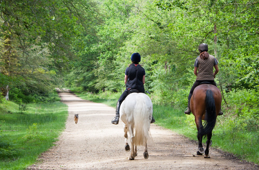 Trail Riding Friends