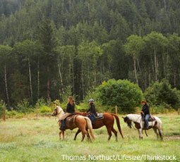 Trail Riding