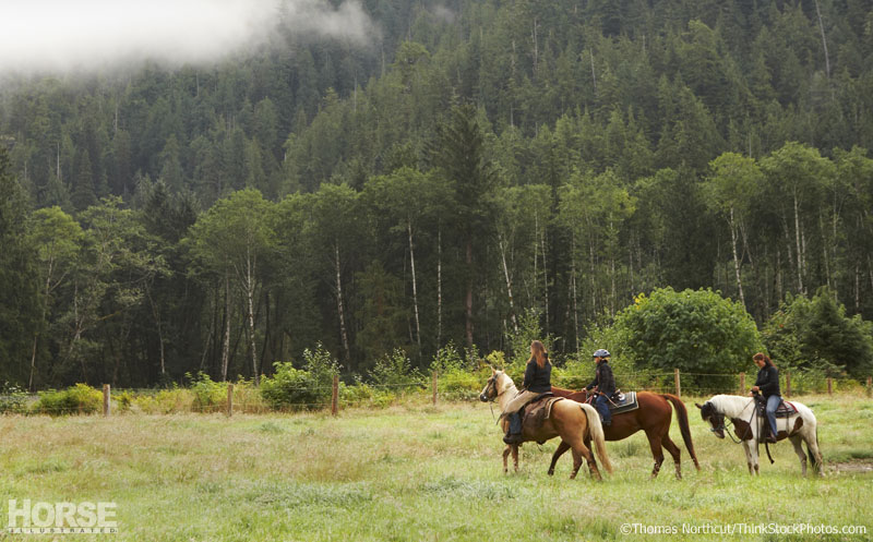 Camping with horses