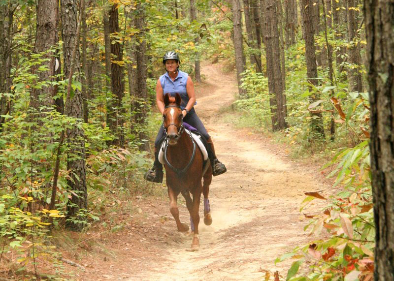 Trail Riding