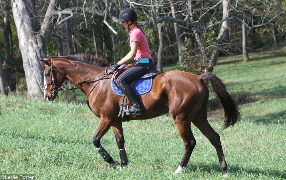 Trail Riding with a Cell Phone