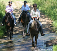 The National Rescue Ride raises money for local equine charities