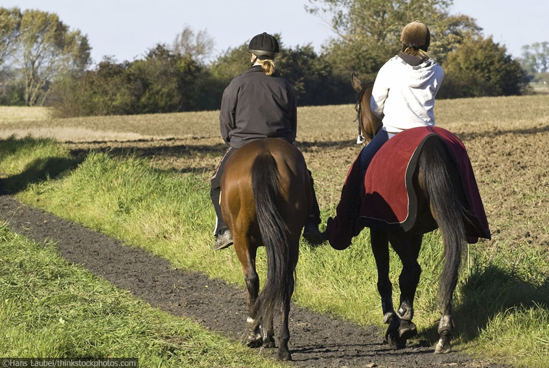 trail ride